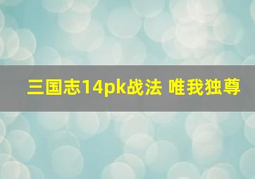 三国志14pk战法 唯我独尊